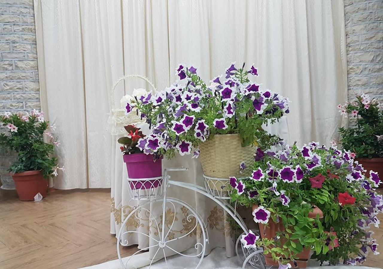 Kt Qato Hotel Bogove Dış mekan fotoğraf