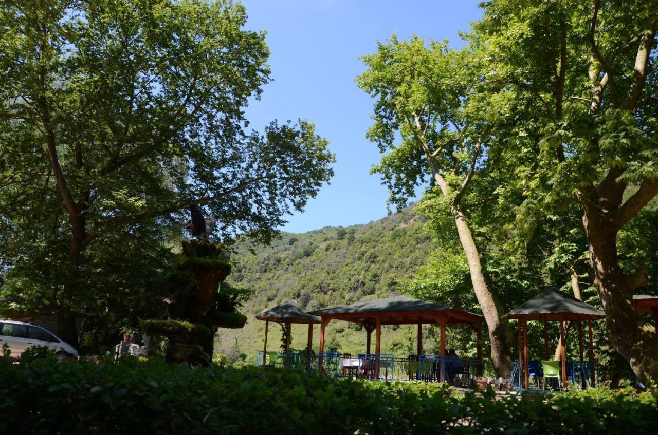 Kt Qato Hotel Bogove Dış mekan fotoğraf