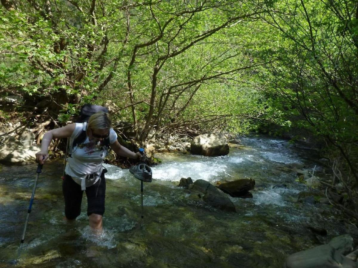 Kt Qato Hotel Bogove Dış mekan fotoğraf